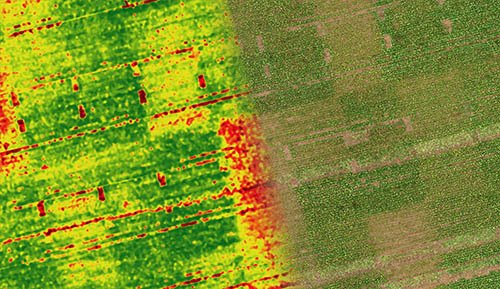 ndvi index
